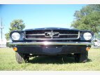 Thumbnail Photo 24 for New 1965 Ford Mustang